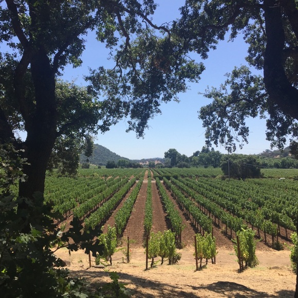 About me - Picture 5 of 7